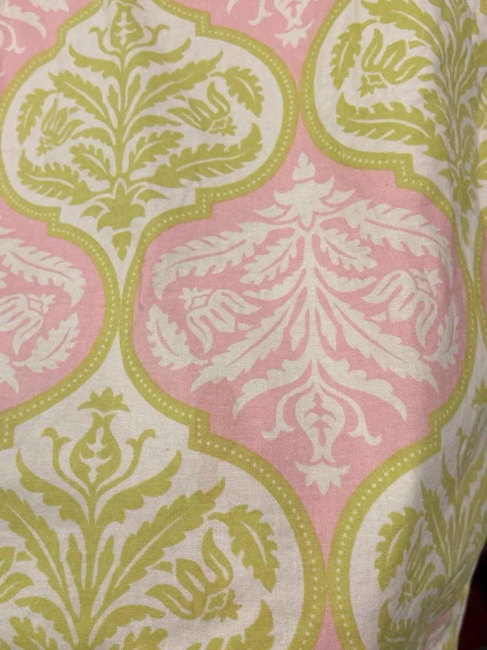 Sixth Alice Pink and Light Green Damask Mini Skirt